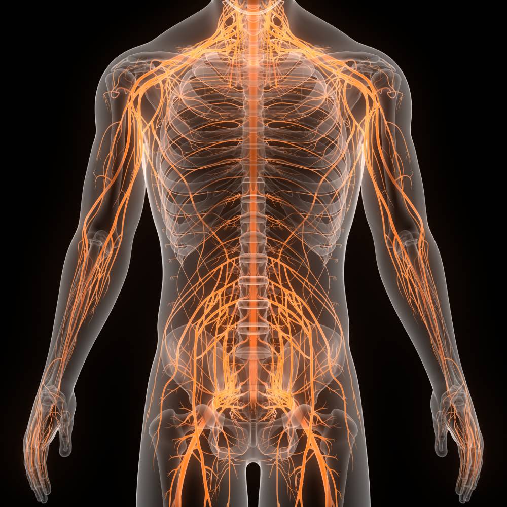 Paravertebral Block: Technique and Uses